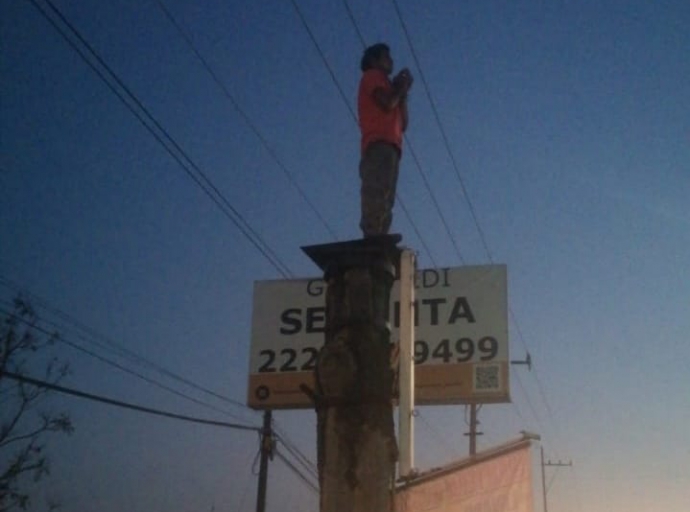 Drogado intenta aventarse desde un árbol